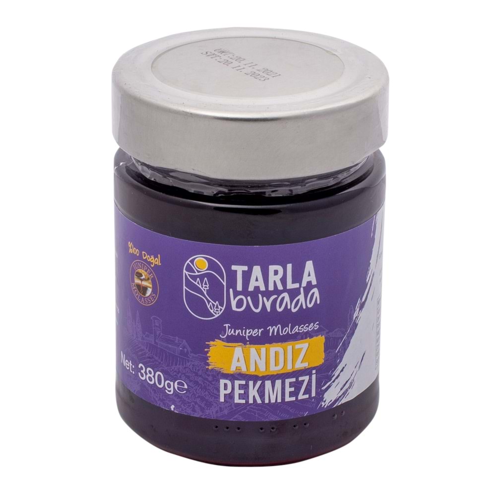 TB ANDIZ PEKMEZI 380 GR