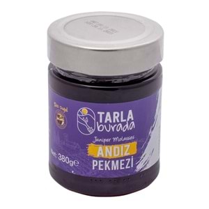TB ANDIZ PEKMEZI 380 GR